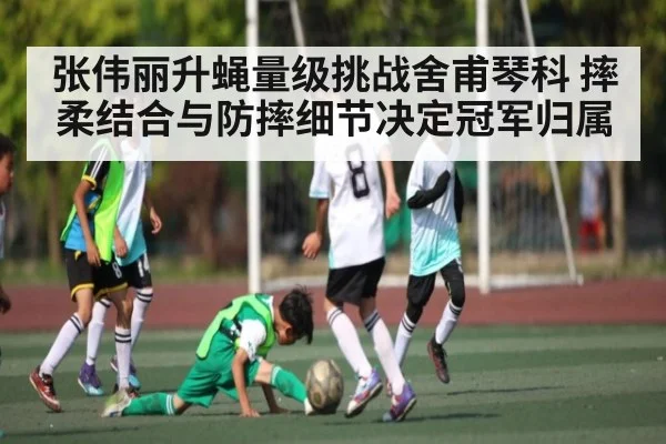 张伟丽升蝇量级挑战舍甫琴科 摔柔结合与防摔细节决定冠军归属