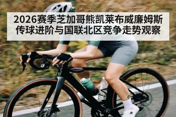 2026赛季芝加哥熊凯莱布威廉姆斯传球进阶与国联北区竞争走势观察